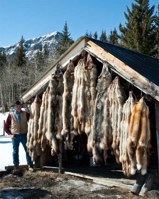 2011 2012 furs.jpg