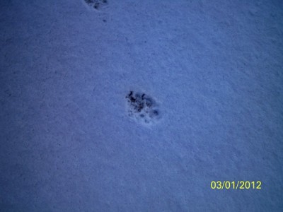 106_0564 [640x480].JPG