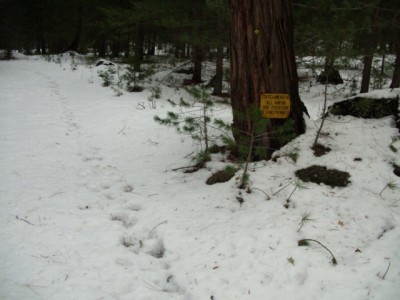 DSCI0143 [640x480].JPG