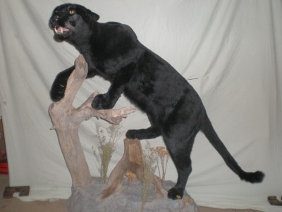 PB090009 [800x600].jpg