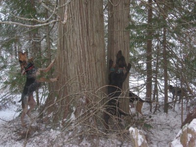 IMG_1610 (Copy) (Copy).JPG