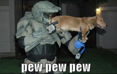 funny-pics-of-dogs-with-guns_1.jpg