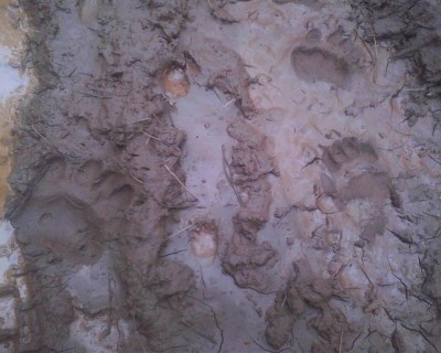 Photo04250924 (Copy).jpg