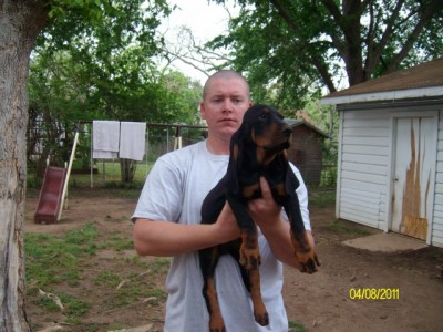 Bluebell.jpg (640x480).jpg