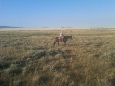 hunting my 2 beagles