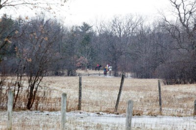 jumping a fence in NY