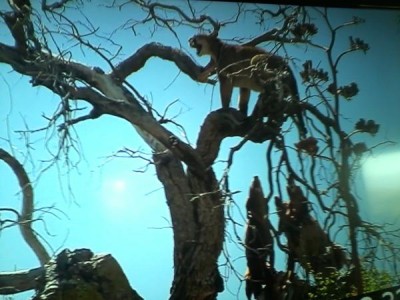 Copy of Picture0423120828_1[1].jpg