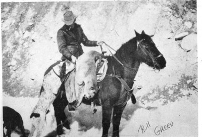 Scout-GS bluetick cross.jpg