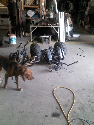 2012-08-26 11.09.45.jpg