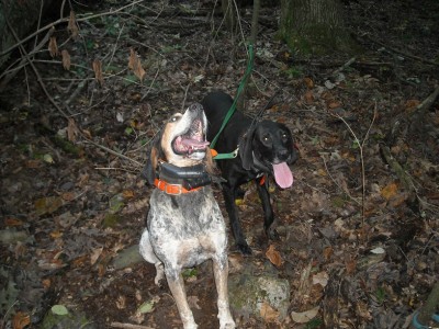 Las Vegas 082 edit.jpg