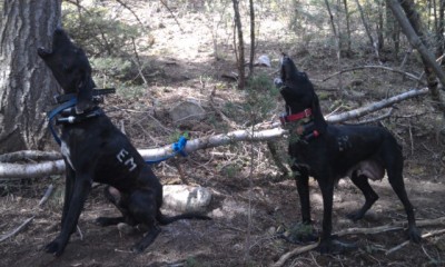 SAMPSON ON LEFT AND NEGRA ON RIGHT