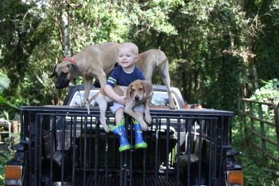 New memory Card 242.JPG