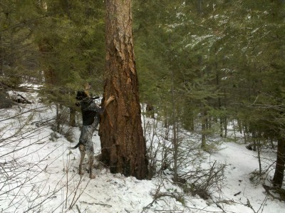 IMG_20120211_125302 (Copy).jpg