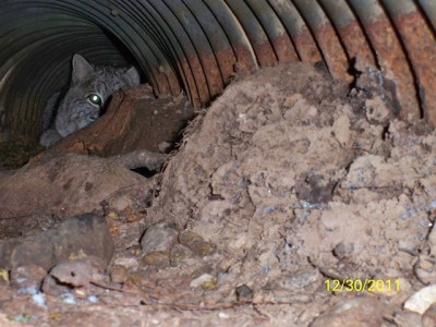 106_0506 [640x480].JPG