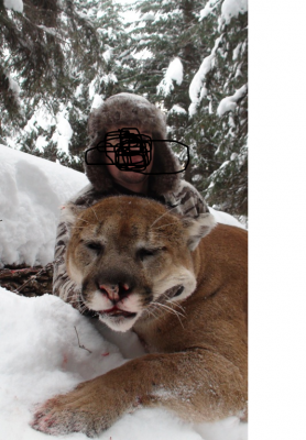 cat scratched face.png