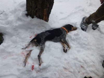 Ryker's Sadie, destined for greatness