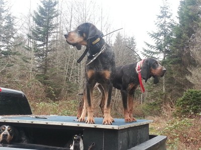 20130209_151705 (Copy).jpg