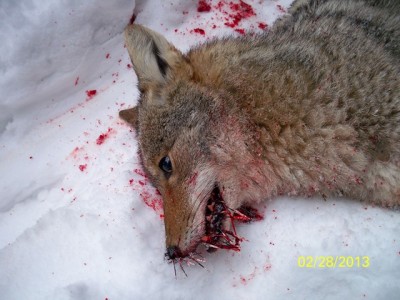 106_0716 [640x480].JPG