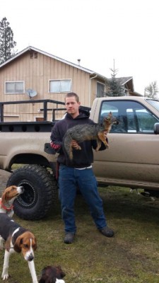 20140104_105345.jpg (43 KiB) Viewed 12498 times new year's fox