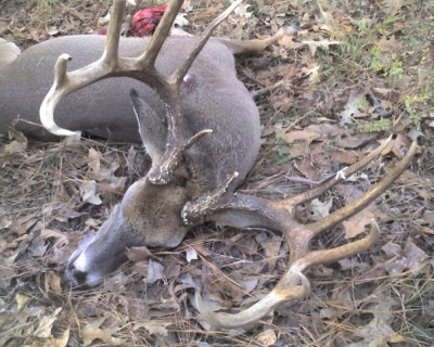 12-point.jpg (143.33 KiB) Viewed 4614 times 12-point typical; 168 b&c
